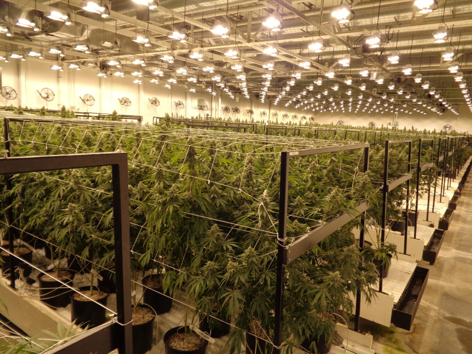 Do you require an “Odor Mitigation Plan”? TEP Engineering